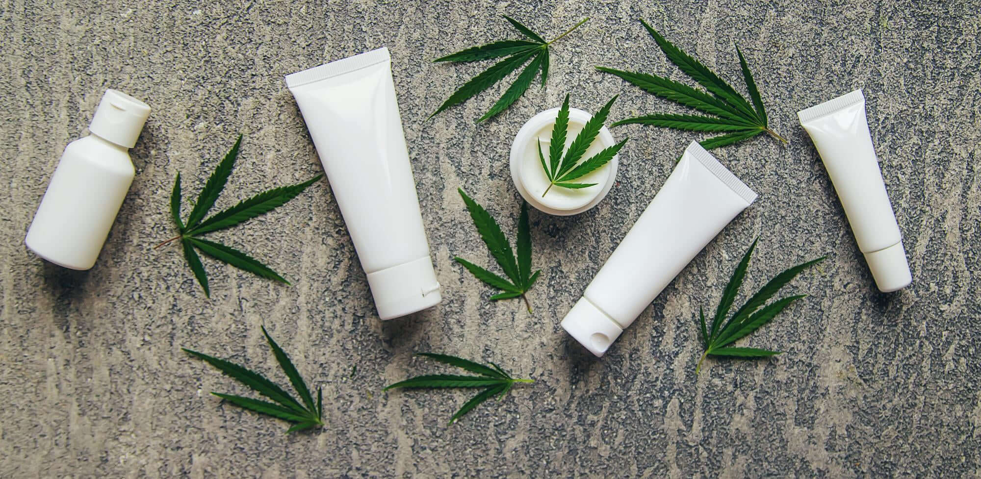 Smart Moves for White-Labeling Hemp Brands | Go North Hemp